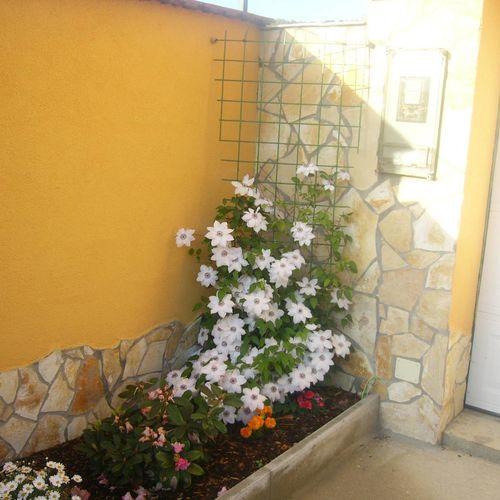 Kustanygyongye Vendeghaz Kehidakustany Apartament Zewnętrze zdjęcie